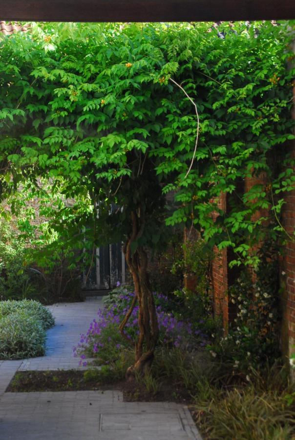 Nostra Signora Bed and Breakfast Bruges Esterno foto